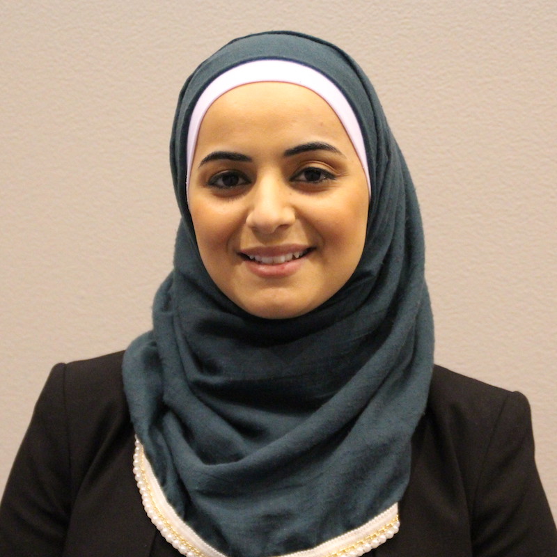 Alaa Mohammad Shareef